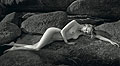 Fotos del Calendario Pirelli 2012