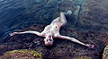 Fotos del Calendario Pirelli 2012