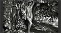 Fotos del Calendario Pirelli 2012