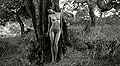 Fotos del Calendario Pirelli 2012