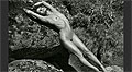 Fotos del Calendario Pirelli 2012