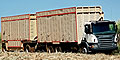 Crece el mercado de camiones off-road - Scania P340