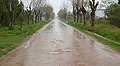 Se invertira en el drenaje de aguas pluviales en algunos caminos